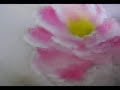 Pintura em tecido - Rosa porcelanizada Pintura em tecido - Rosa porcelanizada