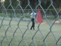 Ferrara Catch.wmv Ferrara Catch.wmv