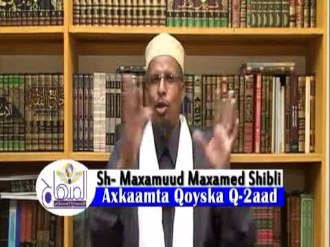 See video