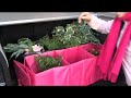 Pinker Kofferraum Buddy - enjoymedia.ch