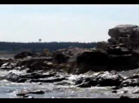 my digital pictures of parts of cape ...