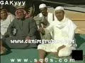 ular sawa.....phyton ular sawa.....phyton