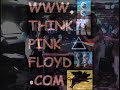 sheep -ThinkPinkFloyd.com