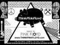 sheep -ThinkPinkFloyd.com