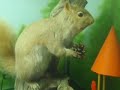 Cress Funeral Home Squirrel Display (by Decider + Madison)