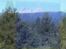 Art Across America: Cascade Mounains, Oregon