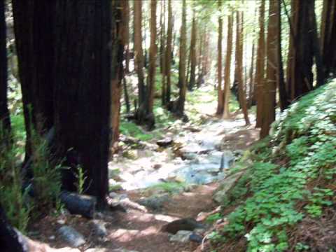 2011 to california 7 - LIMEKILN STATE PARK, BIG SUR - "Because of You"