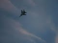 LUFTWAFFE MiG-29