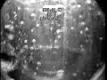 Perforation inspection of CBM well in Canada