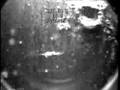 Perforation inspection of CBM well in Canada