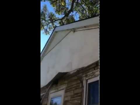 how to get rid squirrels roof
