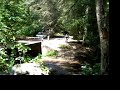 Tromping through the stream