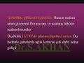 3.S?n?f DERS \"Gebelikte Görülen Maternal De?i?iklikler\" 3.S?n?f DERS \"Gebelikte Görülen Maternal De?i?iklikler\"