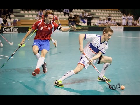 Francúzsko - Slovensko 3:15