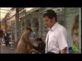 Sucht - Das Phänomen