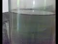 RAVI 'S STANLEY MEYER REPLICATION WATER FUEL CELL -002