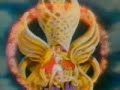 She-Ra Chinese