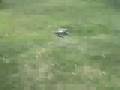 R/C's and Bike Biffs