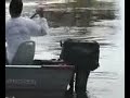A Onça no pantanal
