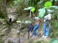 videos de Swinging Mathew - Part 2