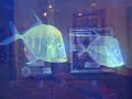 ?????????(River Side Hotel) / ????(Yousui  Inoue)