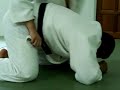 Kata Gatame V2 Kata Gatame V2