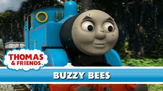 Buzzy Bees - US (HD)  Series 13  Thomas & Frie