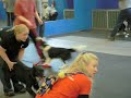 Flyball Starts and Finishes Flyball Starts and Finishes