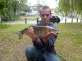 some fish from the river lea and ouse