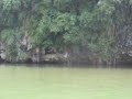 Amazing scenario in Ipoh