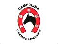 Cavalo Campolina - Brazilian Gaited Horse