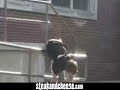 Vid Vid