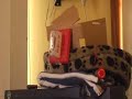 17th - Wheelock E SPEAKER STROBE Test