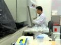 Medical Marijuana Stops Spread of Breast Cancer - NBC NEWS