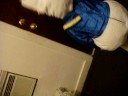 jose shaking his tail feathers :)[[cute]]