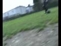 videos de frans definitief.wmv