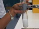 acids and carbonates 2