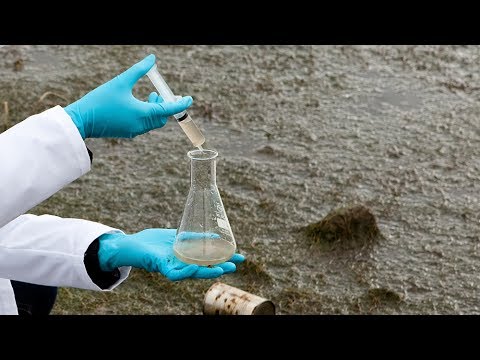 Major Polluter Inspected! (After It Destroys 70 Miles Of River)