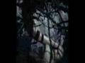 dido-don-t-lave-home