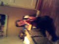 Funny Watch It :]