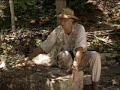 The Search for the Lost City of Atlantis (Part 3)
