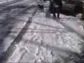 Dynamizer Skiing