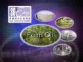 Easy Pha-max so easy detox care nutri-scheme info.flv