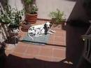 Concha en casa Concha en casa