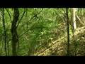 The Nature Conservancy Celebrates Opening of Angus Gholson Jr. Environmental Learning Center