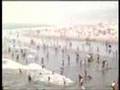 clip video Vegomatic 3 Bikinis