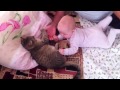 Мила игрет с котиком