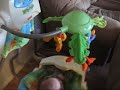 rainforest-swing.html