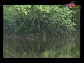 Sungai Peradin