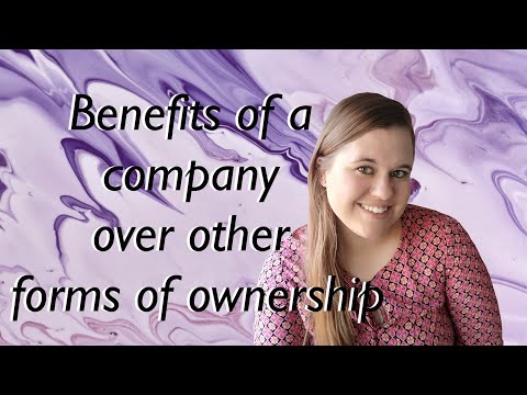 Grade 11 | Business studies | Forms of Business Ownership | Term 2 | Teaching